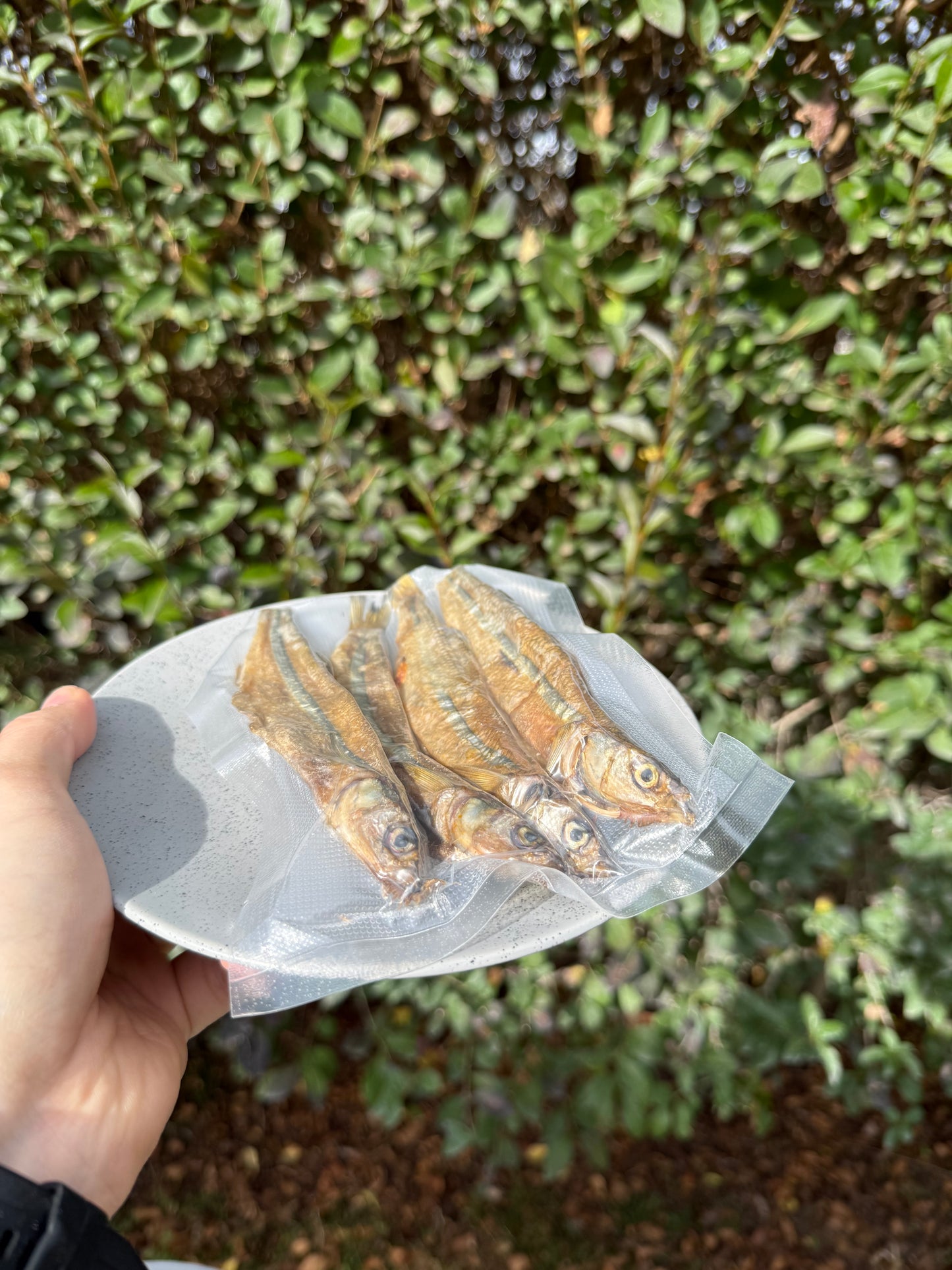 Pejerrey deshidratado para gatos - Rico en Omega 3