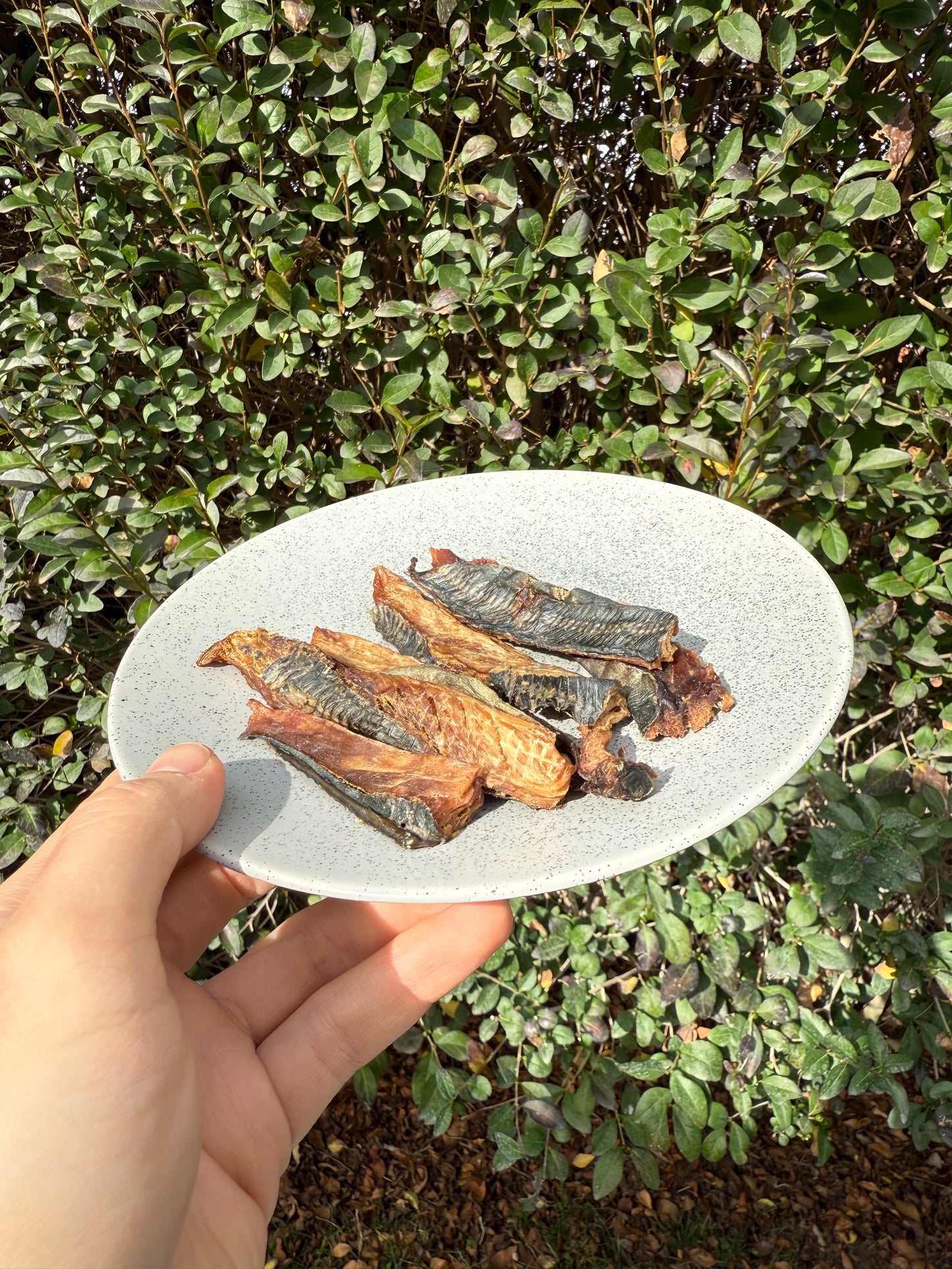 Jurel Deshidratado Natural para Perros y Gatos – Omega 3 Premium