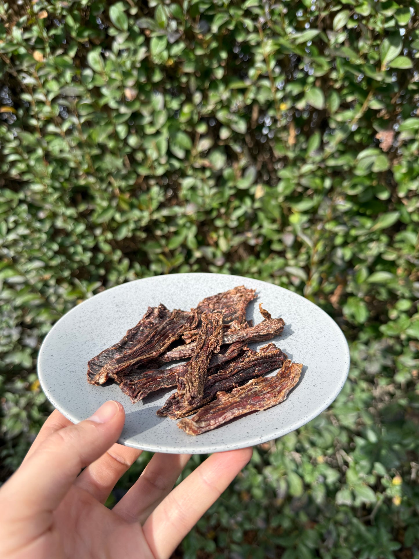 CYBER 100% carne deshidratada - Alto en proteína